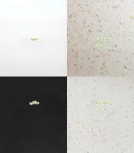 سینک گرانیتی دولگن طرح ماز - Image 4